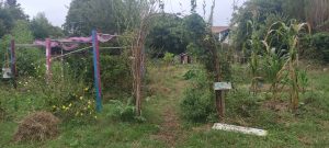 Gramont Jardin entrée