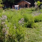 Jardin Gramont