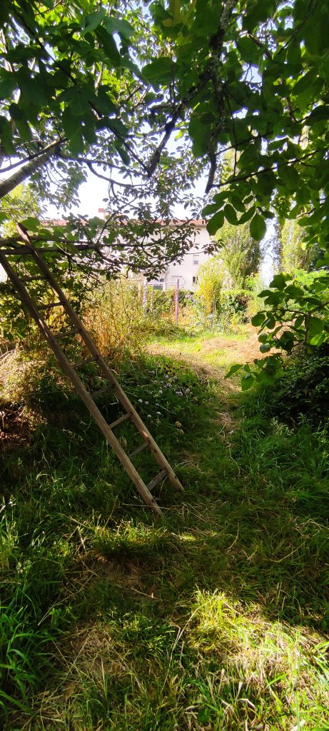 Immersion au jardin