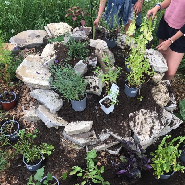 Bidart-Spirale-avant-plantation-rotated