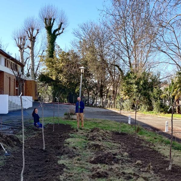 Havre-endarra-jachere