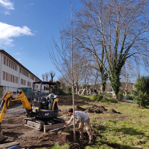 Havre-endarra-travaux