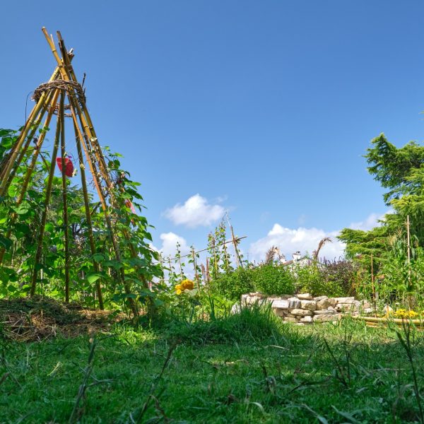 Jardin-POLO-tipi-2