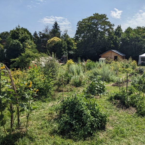 le jardin pédagogique de Bio divers cité